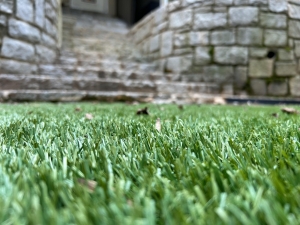 Close up Synthetic Turf