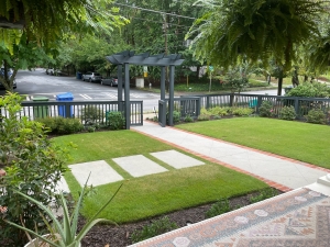 Sod Grass With Concrete Walkway