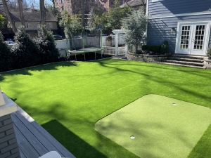 Synthetic Turf with Putting Green 2