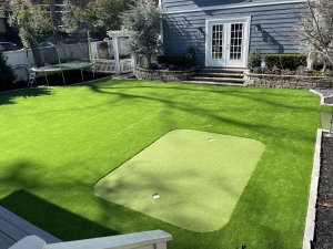 Synthetic Turf with Putting Green 3