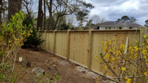 Backyard Privacy Fence