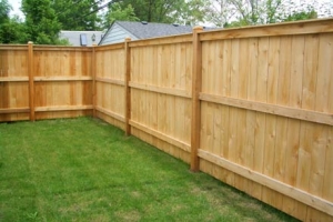Fence with Top and Bottom Trim