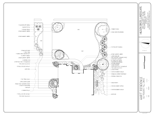 Front Yard Design