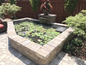 Koi Pond with Seating Wall