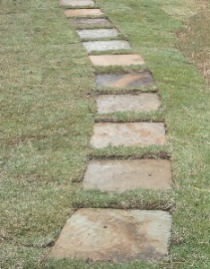 Natural Stepping Stone Squares