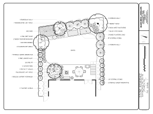 Back Yard Design